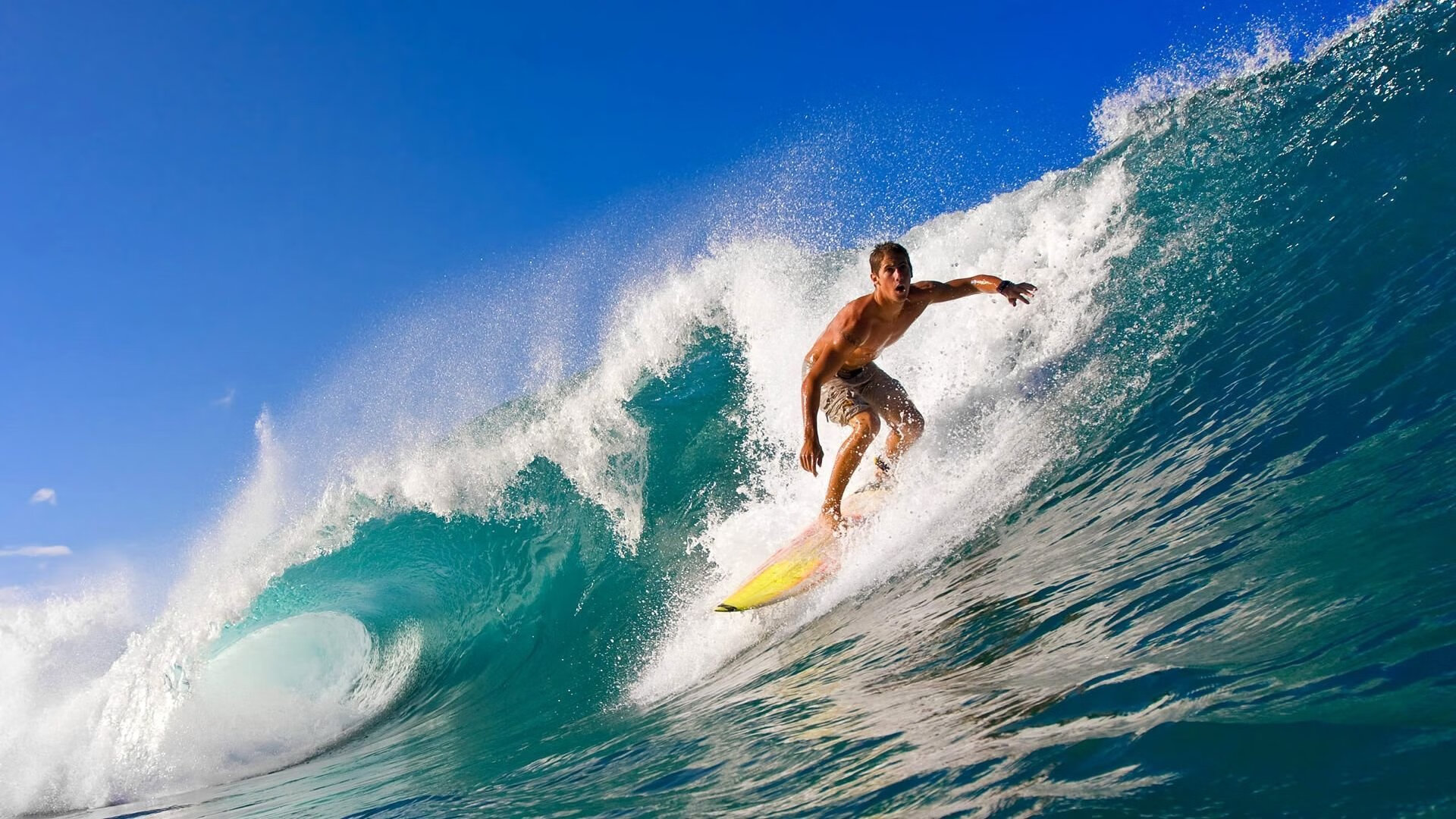 “费尔南多·比亚尔巴的球场智慧与执行力,成就美洲狮队的未来”