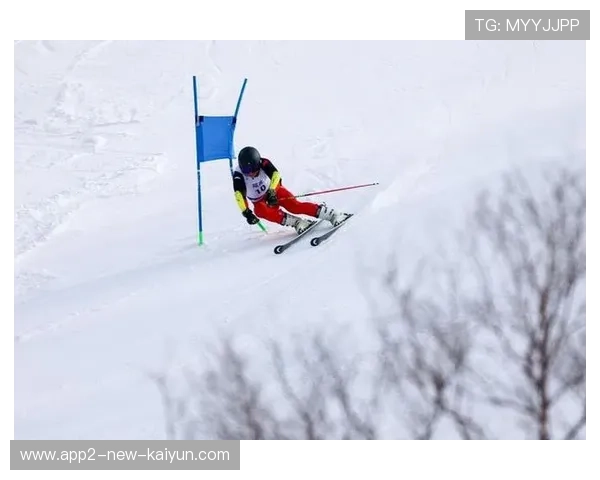 高山滑雪的“旗门杆：选手身体的触碰极限
